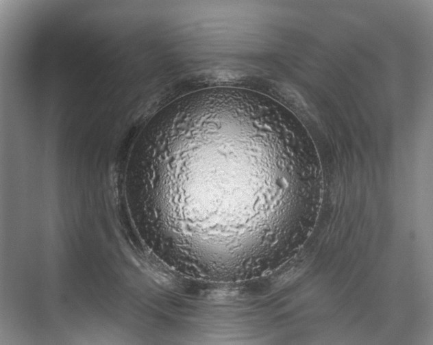 X0000072950366200608041314