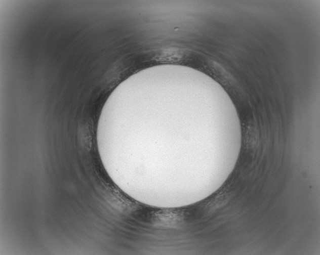 X0000072950370200608041314