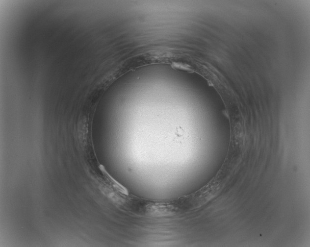 X0000072950372200608041314