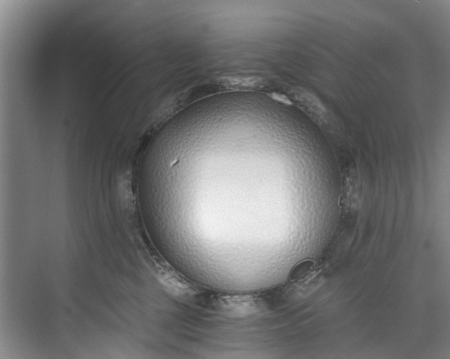 X0000072950377200608041314