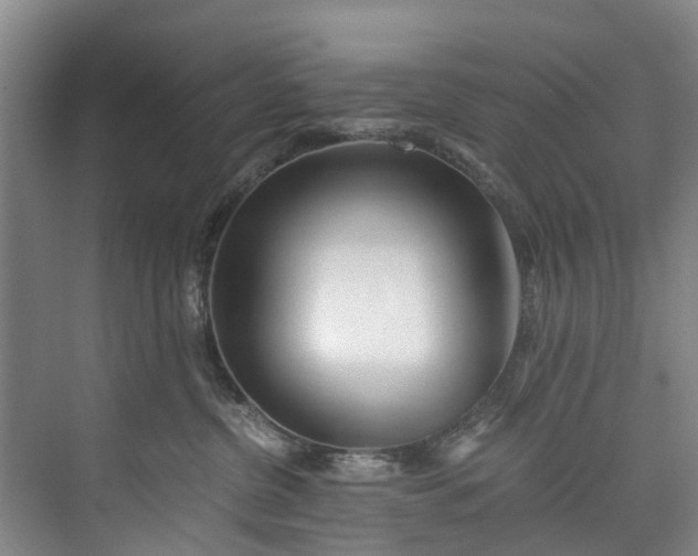 X0000072950380200608041314