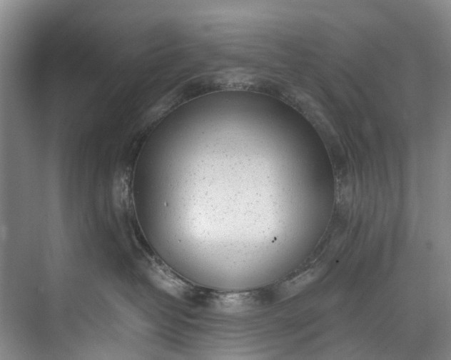 X0000072950382200608041314