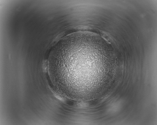 X0000072950383200608041314