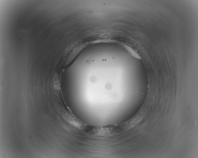 X0000072950384200608041314