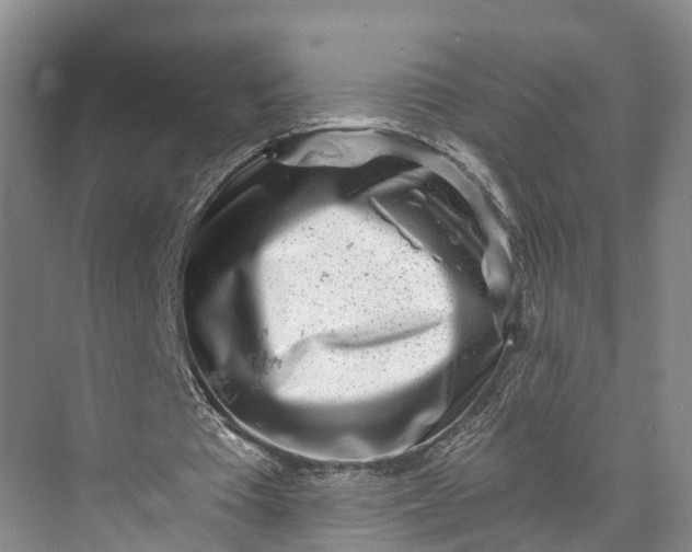 X0000072950385200608041313