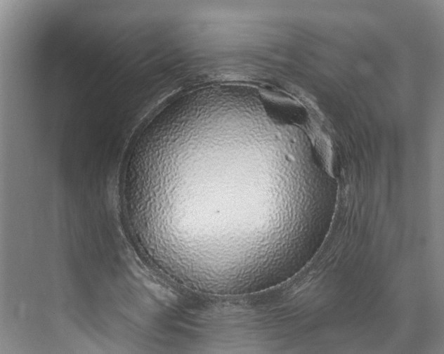 X0000072950386200608041313