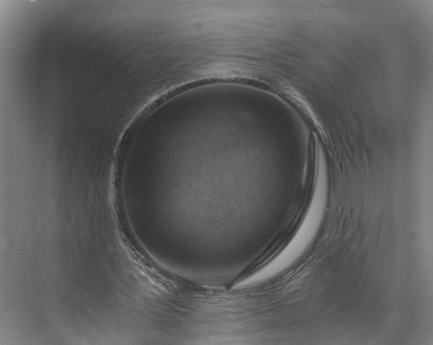 X0000072950387200608041313