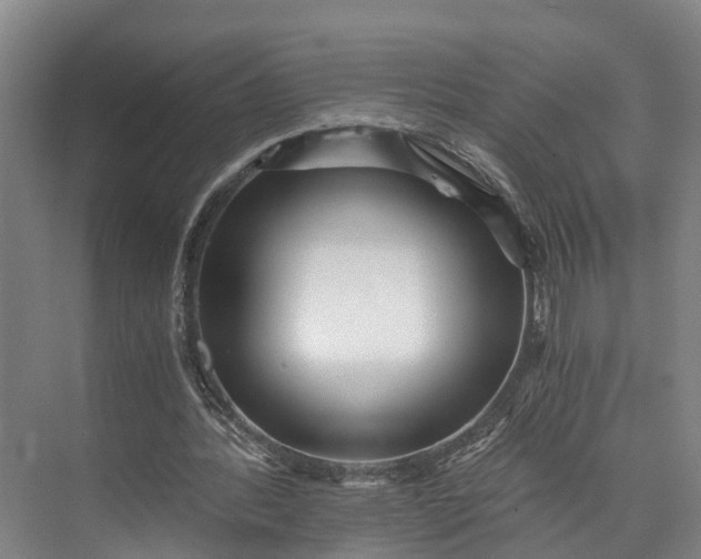 X0000072950388200608041313