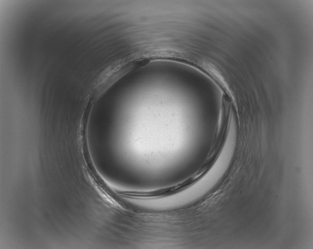 X0000072950389200608041313