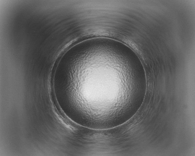 X0000072950390200608041313