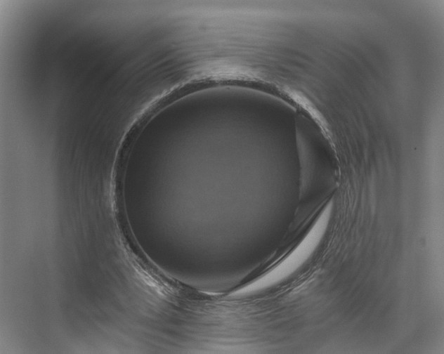 X0000072950391200608041313