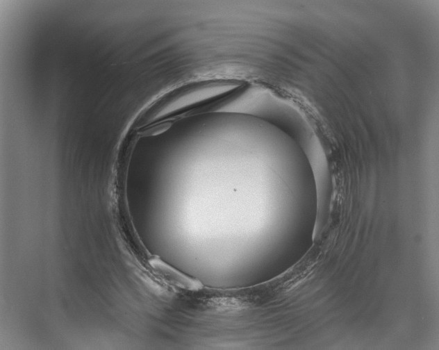 X0000072950392200608041313