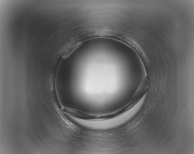 X0000072950393200608041313