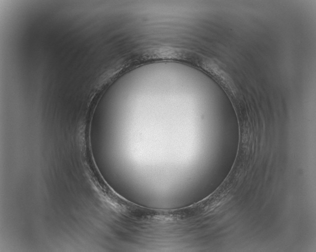 X0000072950394200608041313