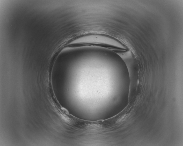 X0000072950397200608041313