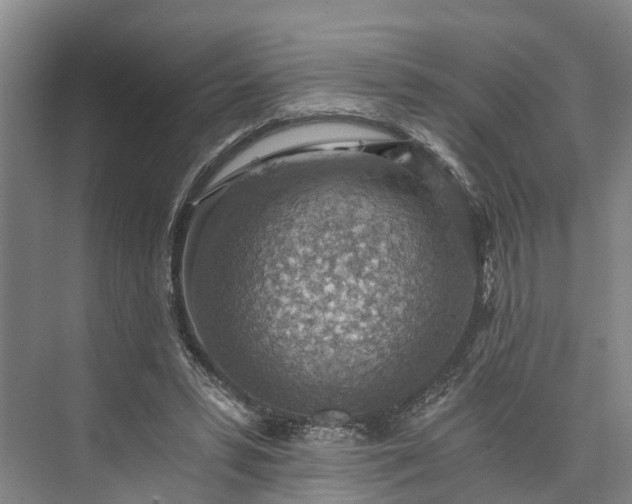 X0000072950399200608041313