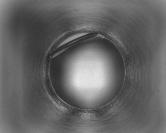 X0000072950400200608041313