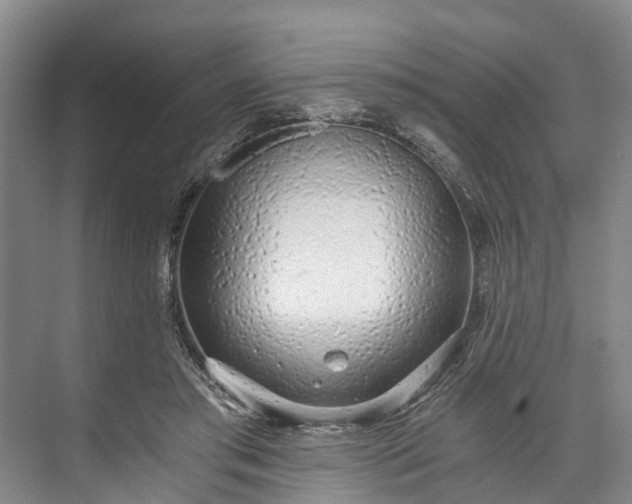 X0000072950405200608041313