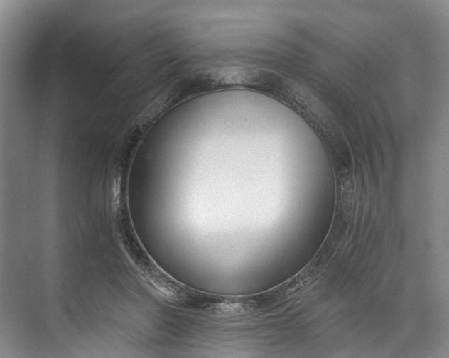 X0000072950406200608041313