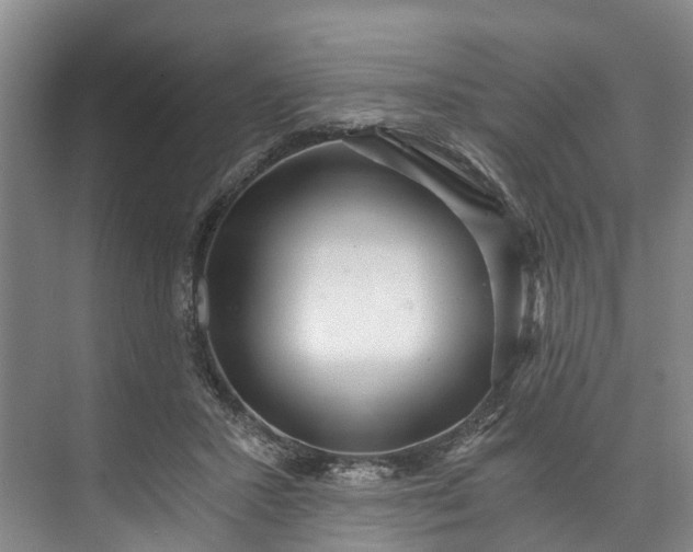 X0000072950407200608041313