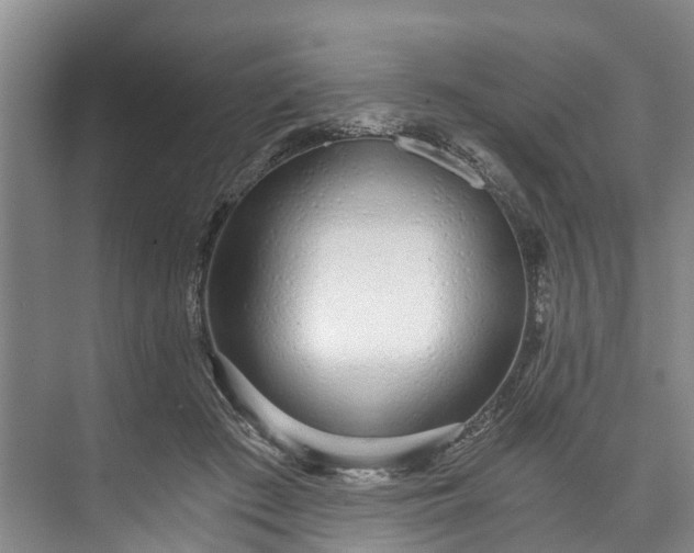 X0000072950409200608041313