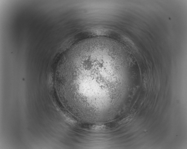 X0000072950410200608041313