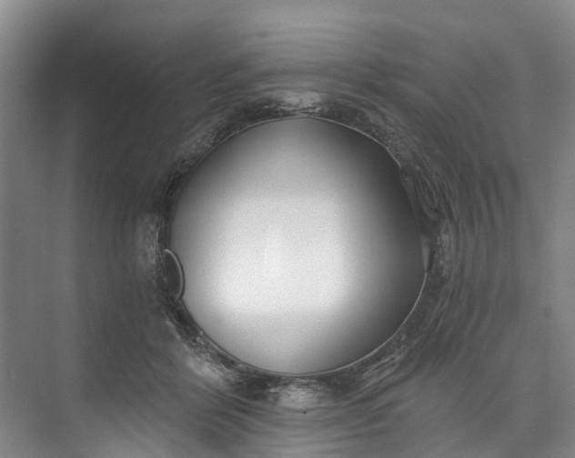 X0000072950412200608041313