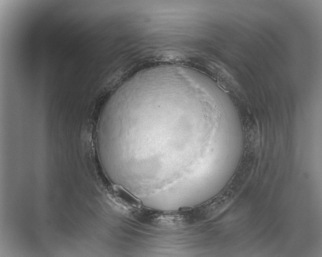 X0000072950415200608041313