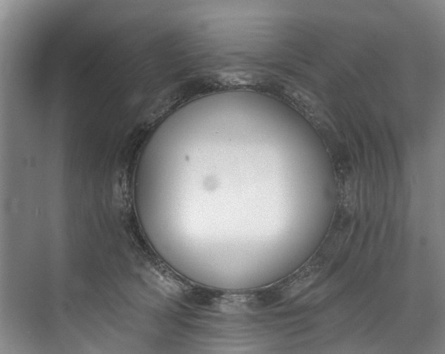 X0000072950418200608041313