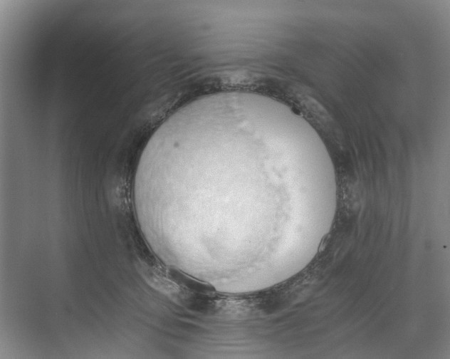 X0000072950419200608041313