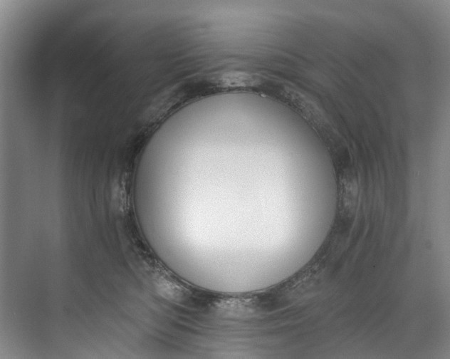 X0000072950422200608041312