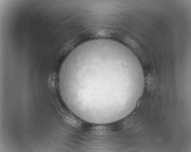 X0000072950423200608041312