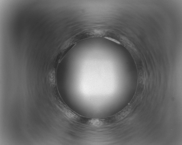 X0000072950425200608041312