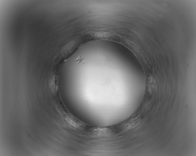 X0000072950428200608041312