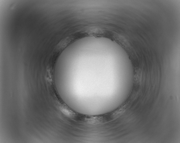 X0000072950430200608041312