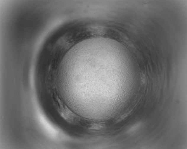 X0000072950431200608041312