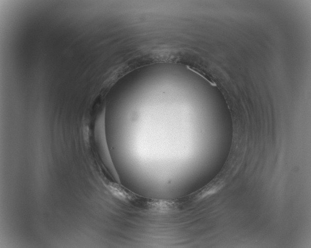 X0000072950432200608041312