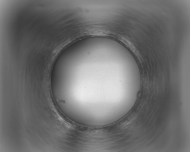 X0000072950433200608041311