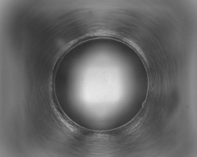 X0000072950437200608041312