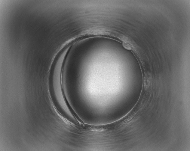 X0000072950438200608041312