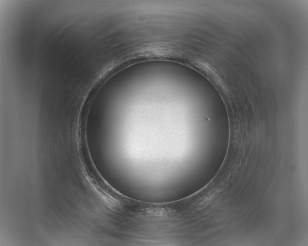 X0000072950439200608041312