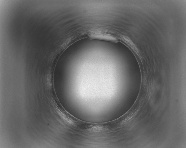 X0000072950441200608041312