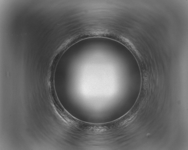 X0000072950443200608041312