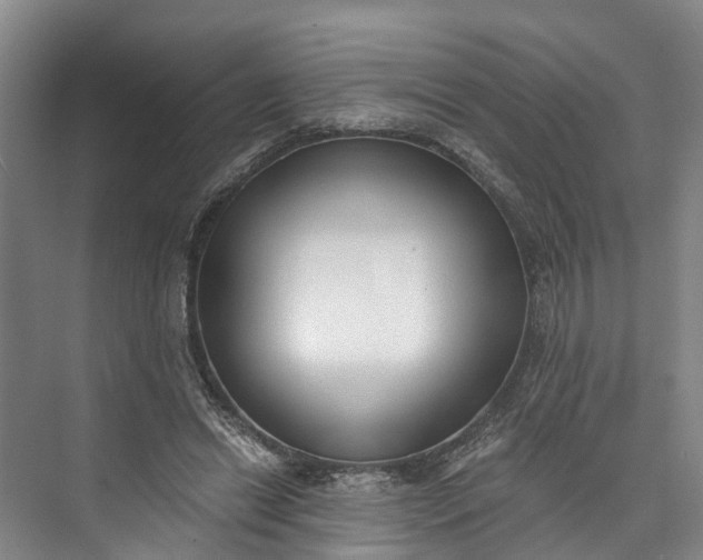 X0000072950446200608041312