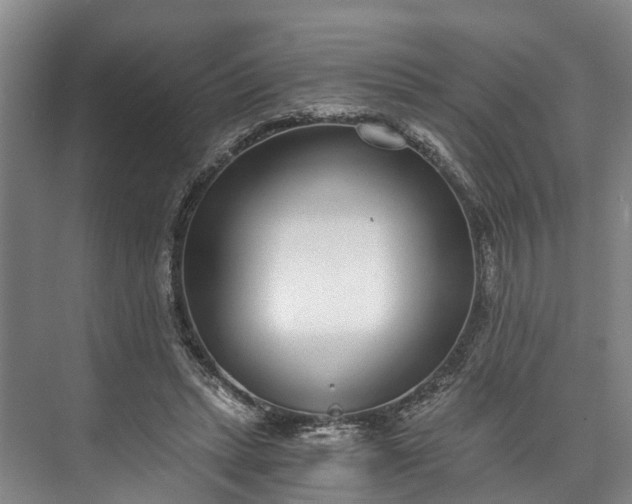 X0000072950447200608041312