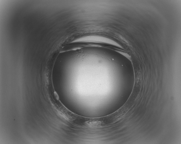 X0000072950452200608041312