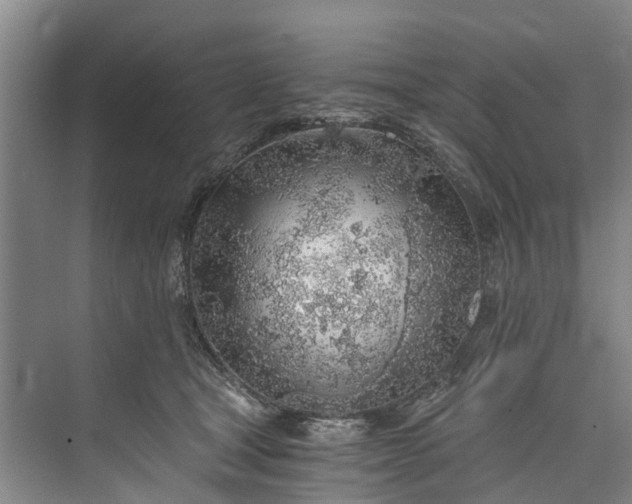 X0000072950465200608041312