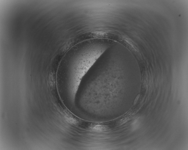 X0000072950467200608041312