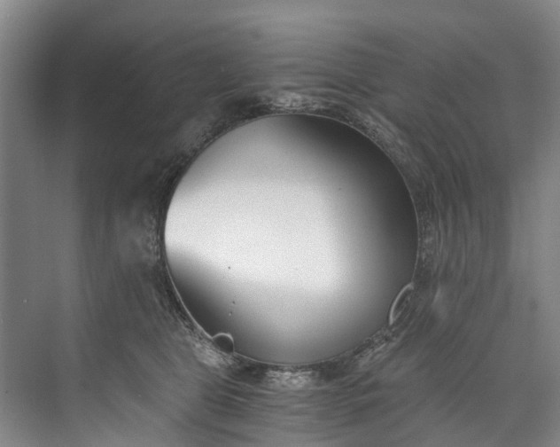 X0000072950469200608041312