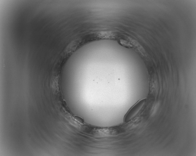 X0000072950473200608041312